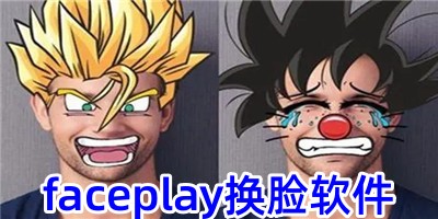 faceplay换脸软件