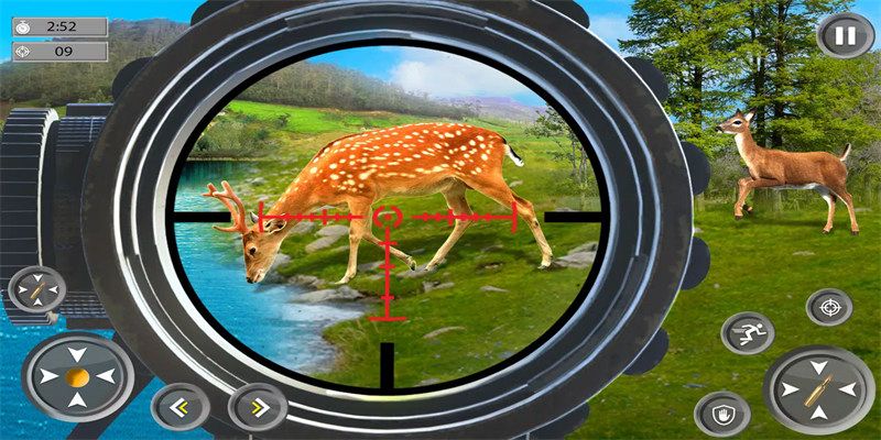 Wild Animal Safari Hunting