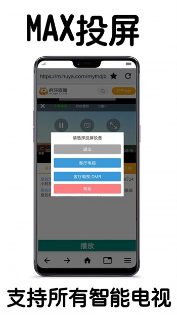 MAX投屏图2