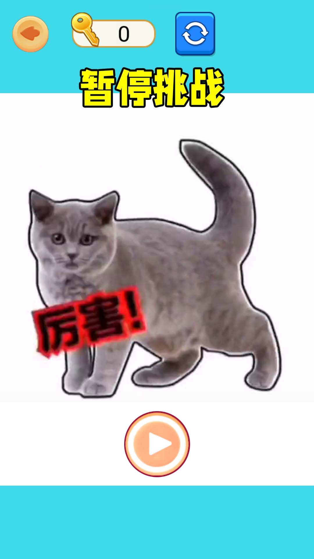 极限暂停挑战游戏图3