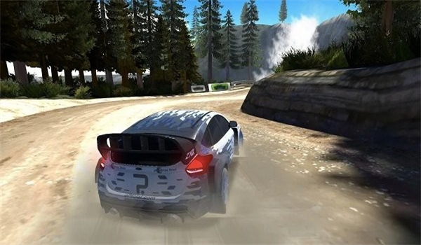 RallyRacerDirt图3