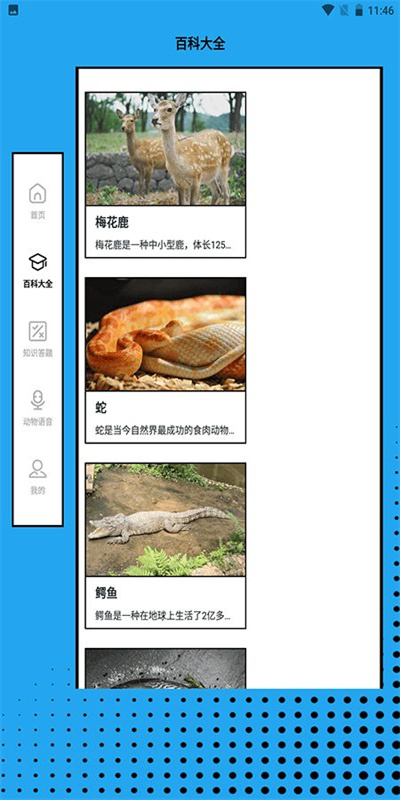 动物大联盟世界图3