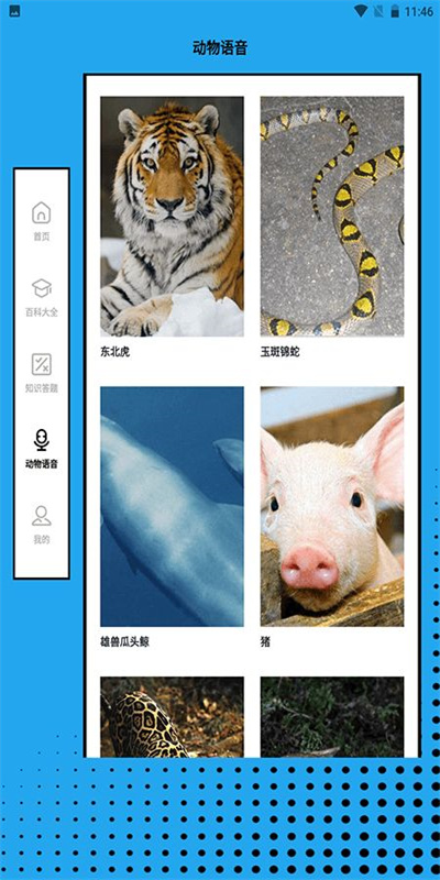 动物大联盟世界图1
