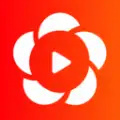 花都视频图标