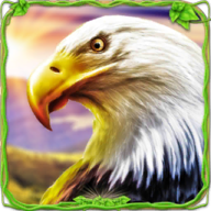 狂鹰家庭模拟游戏(Furious Eagle Family Sim)