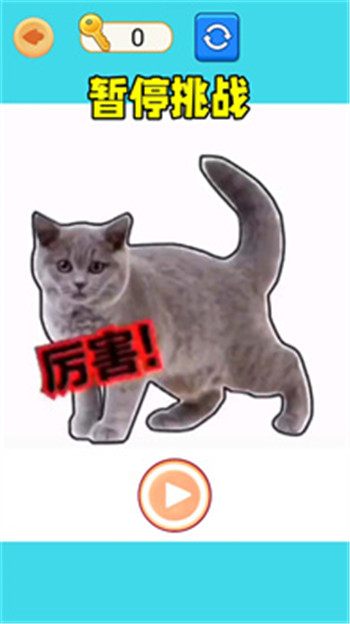 极限暂停挑战图3