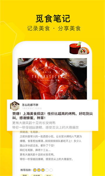 觅食蜂APP