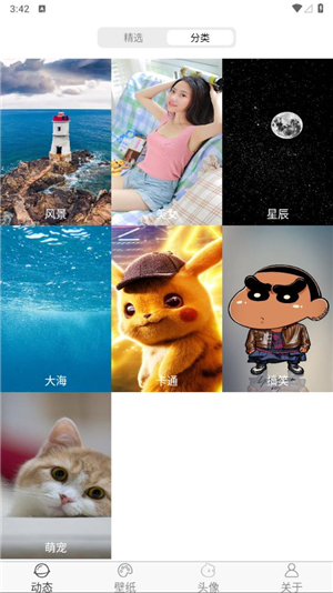 飞花动态壁纸手机版图2