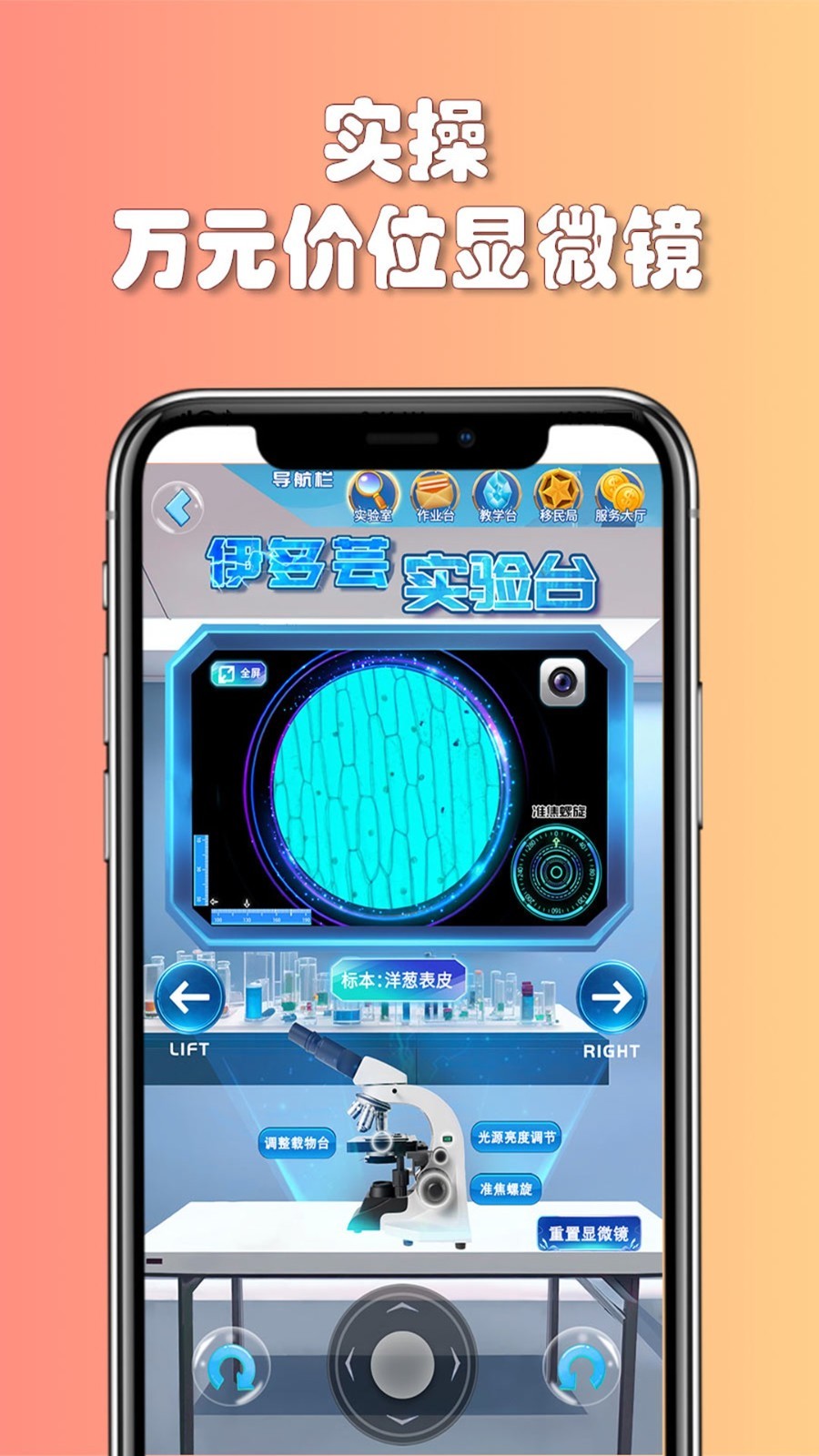 图1