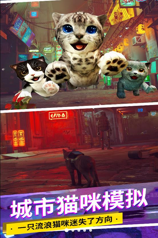 猫咪城市模拟图1