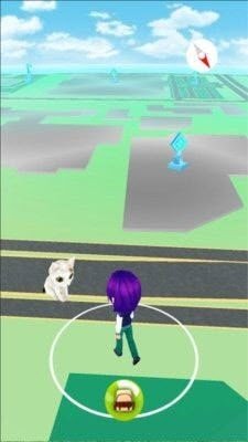 一起来捉猫图1