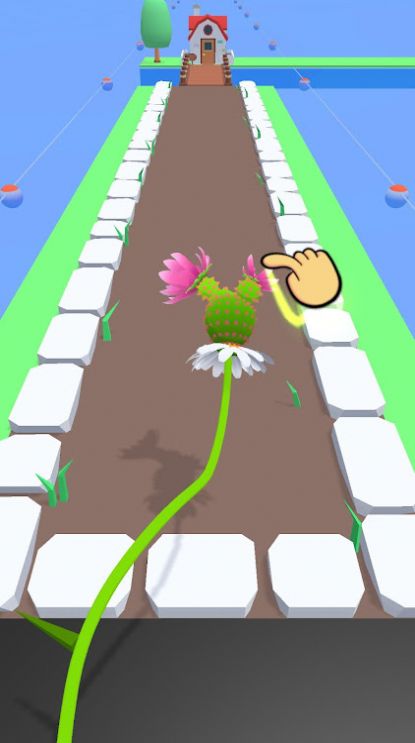 植物进化跑图1