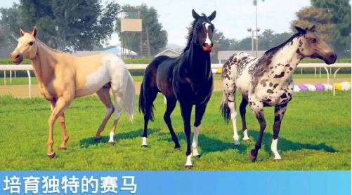 奔跑的马图1