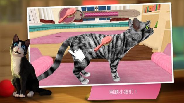 猫咪旅店图3