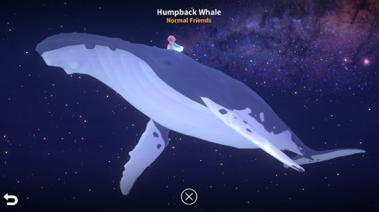深海庭院全物品图2