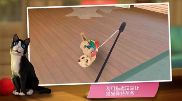 猫咪旅店图2