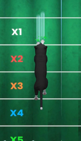 黑猫挺坏图2