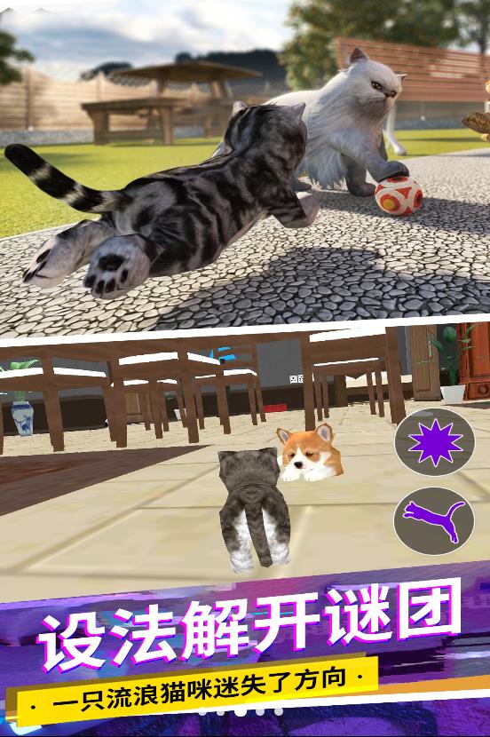 猫咪城市模拟图3