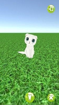 一起来捉猫图3