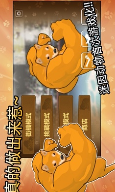 动物之战免广告图2