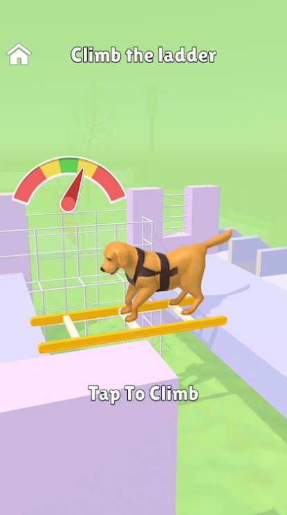 超级狗训练图2