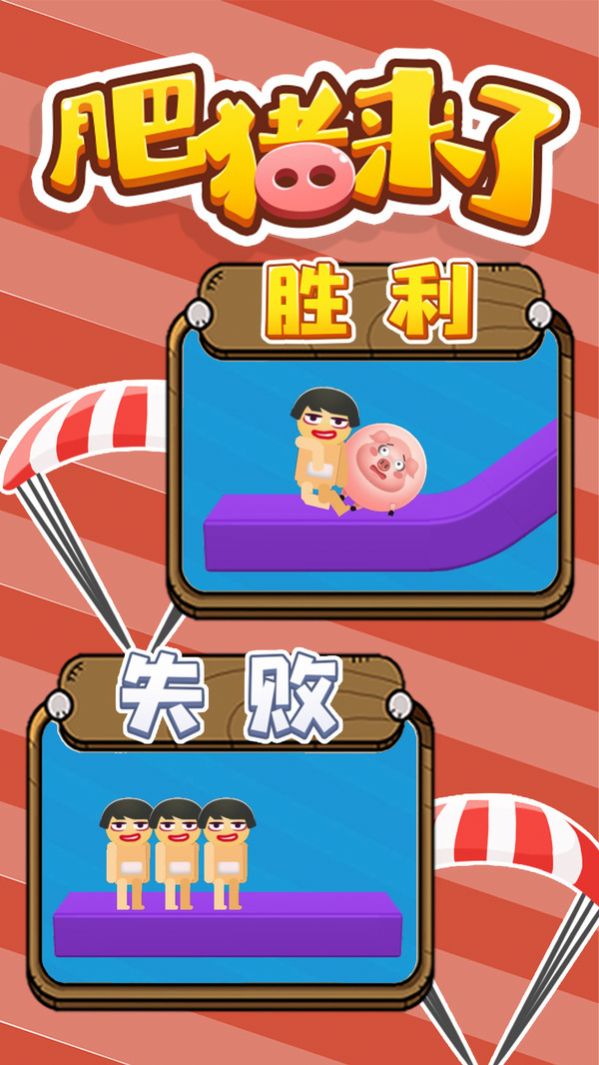 肥猪来了图3