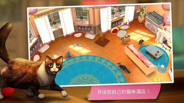 猫咪旅店图1