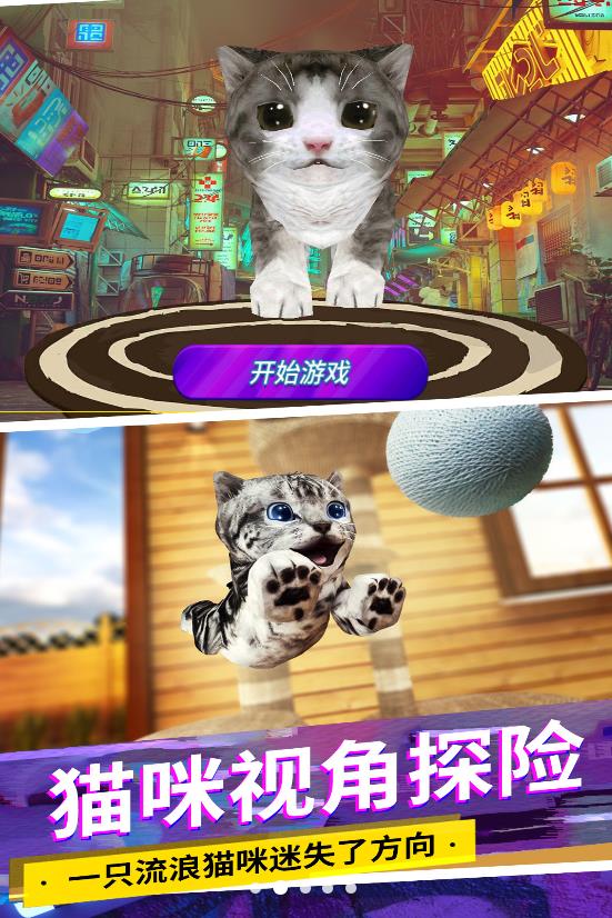猫咪城市模拟图2