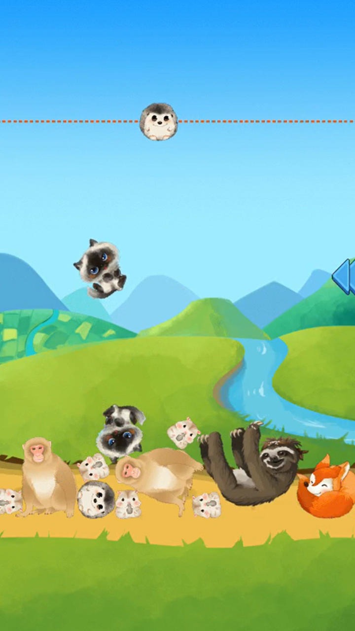 熊猫大师图2