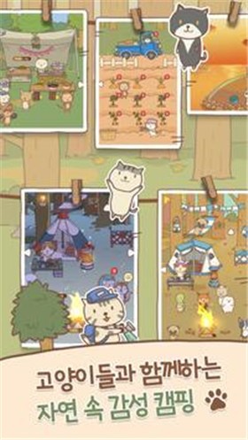 猫猫露营图3