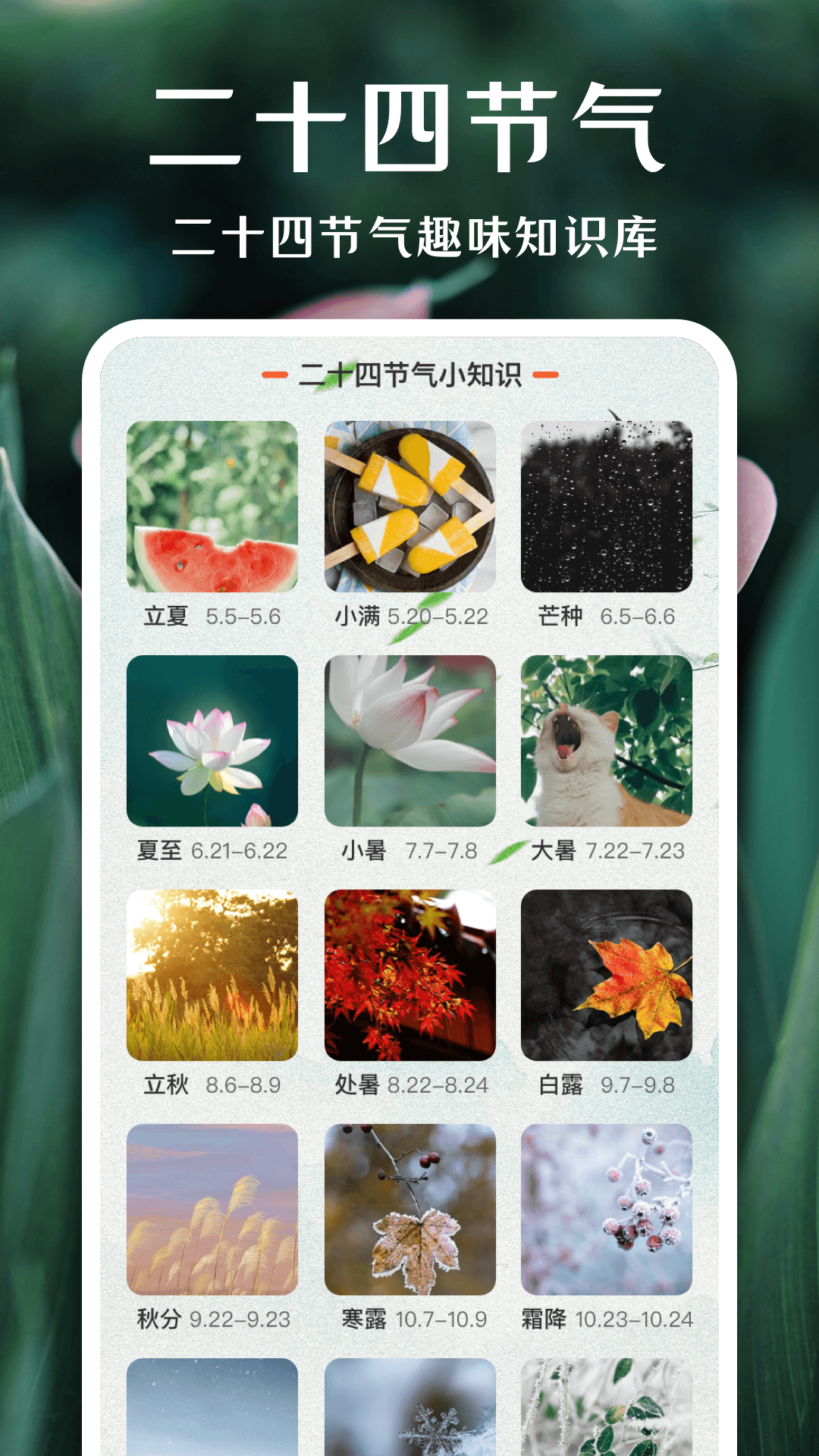 一键拍照识花图3