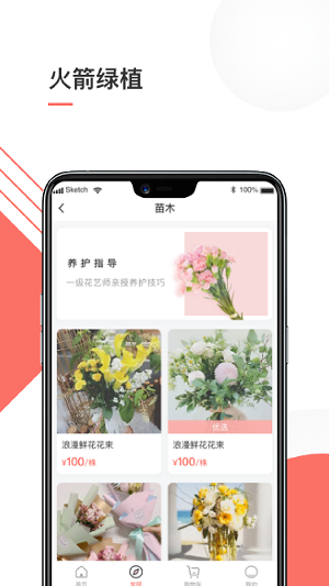 火箭绿植图3