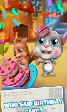 会说话的Bob猫图2