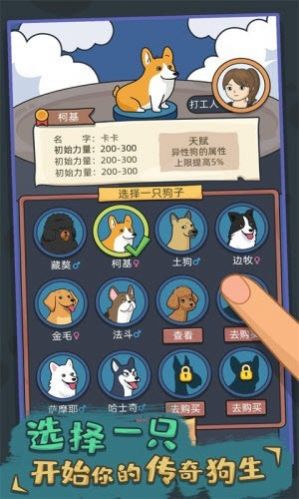 你好狗好喜欢图1