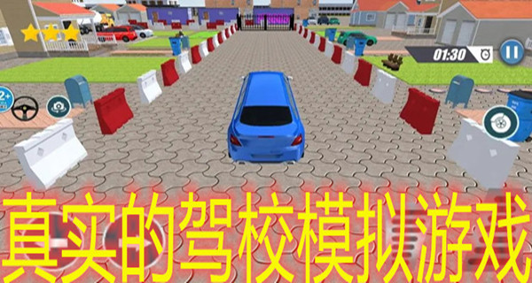 真实的驾校模拟游戏