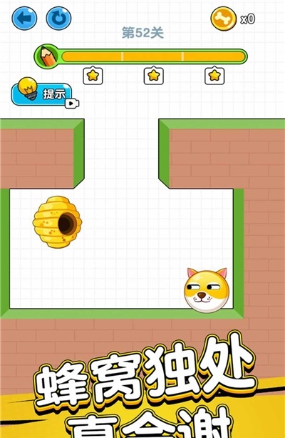 狗狗肿么了图3
