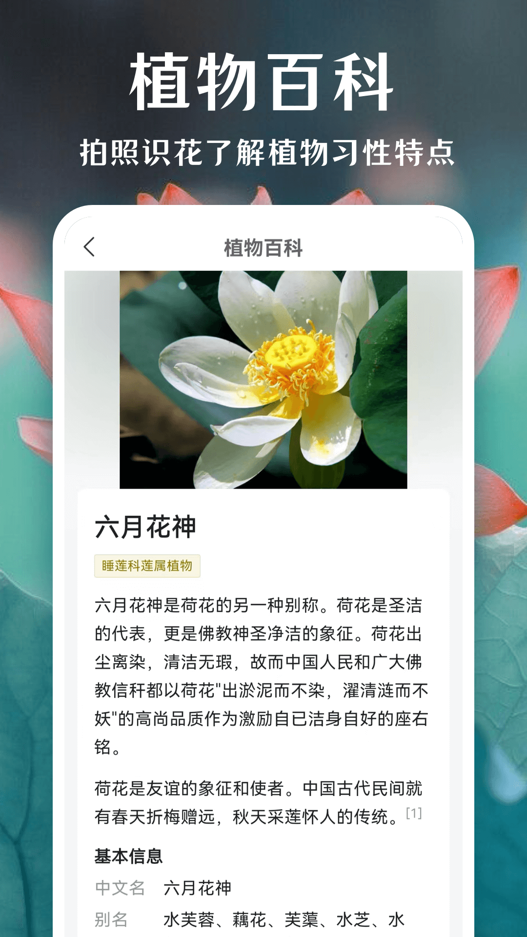 一键拍照识花图1
