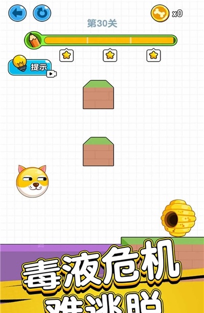 狗狗肿么了图2