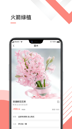 火箭绿植图2