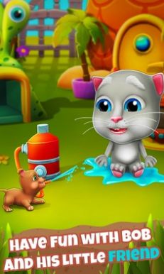 会说话的Bob猫图3