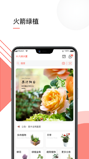 火箭绿植图1