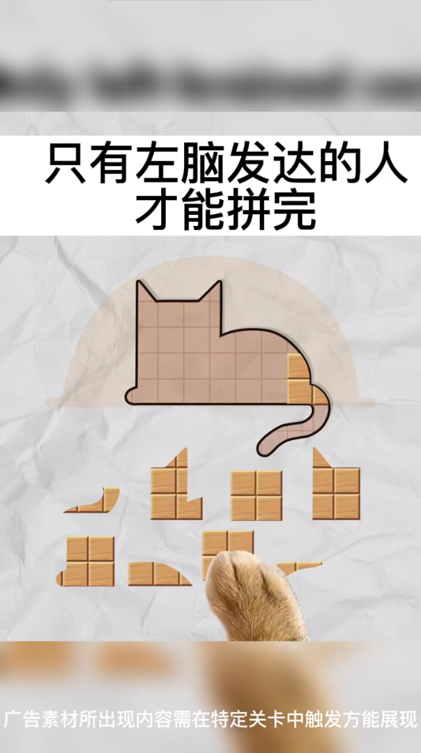 今晚来拼板图3