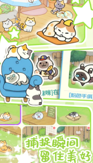 地铁遇见猫图3