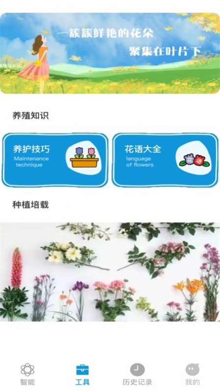 全能拍照识物app图1
