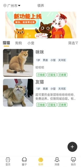 种猫家图2