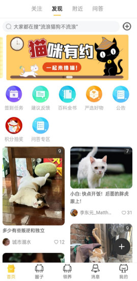 种猫家图3