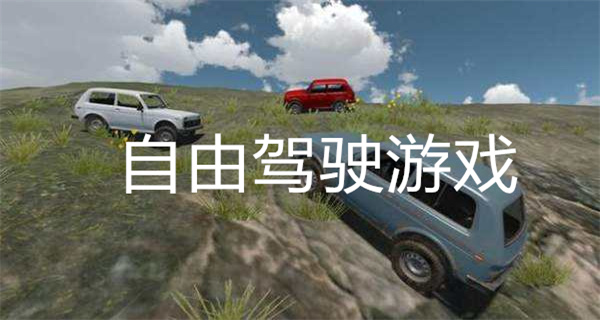 自由驾驶游戏