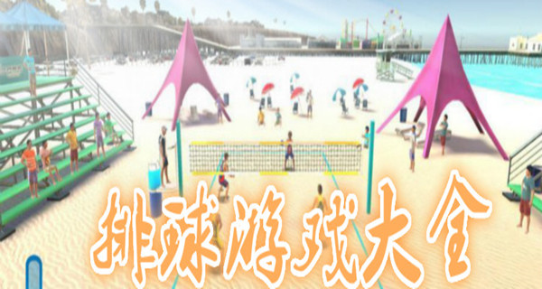 排球游戏大全