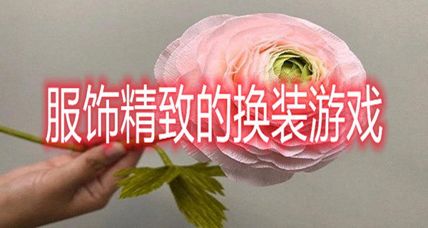 服饰精致的换装游戏