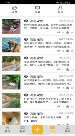 流浪宠物图2